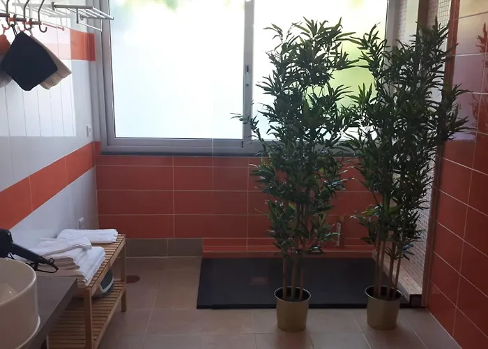 Πανσιόν Budha